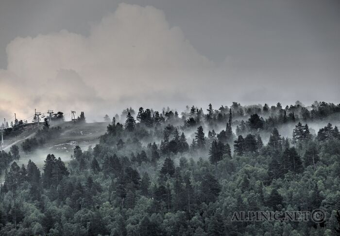 IMG_0740_1_2_Vibrant_DxO