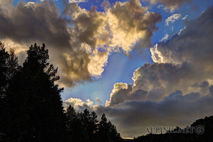 IMG_0785_6_7_Painterly 5_DxO