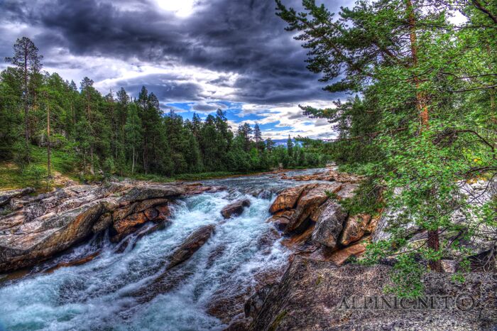 IMG_0993_4_5_Painterly 2_DxO