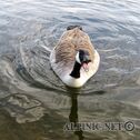 IMG_2027_lo_dxo
