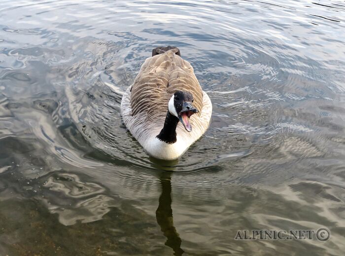 IMG_2027_lo_dxo