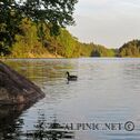 IMG_2033_lo_dxo