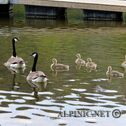 IMG_2045_lo_dxo
