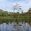 IMG_2076_lo_dxo