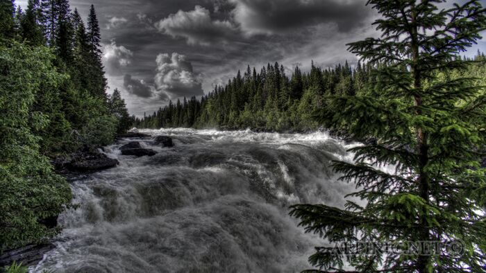 IMG_1501_2_3_tonemapped_lo_dxo