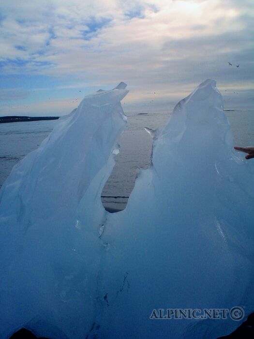 Jökulsarlon / Iceland
