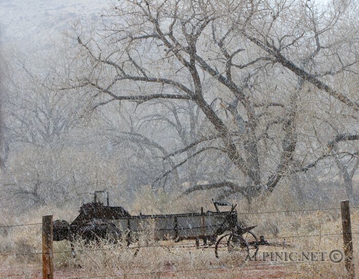 Fruita / Capitol Reef / Utah
