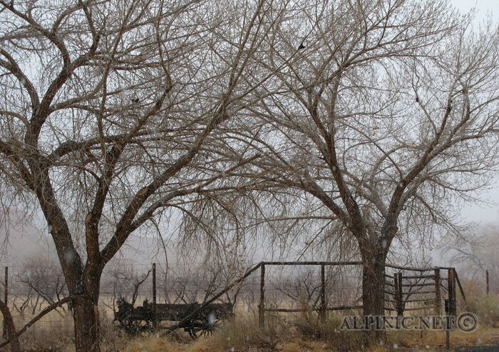 Fruita / Capitol Reef / Utah