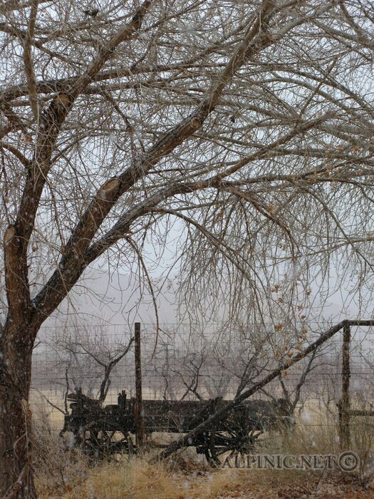 Fruita / Capitol Reef / Utah