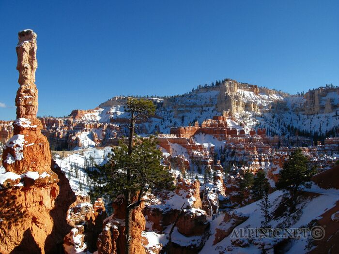 Bryce Canyon / Utah