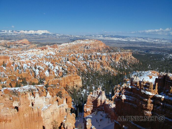 Bryce Canyon / Utah