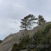 IMG_0248_DxO