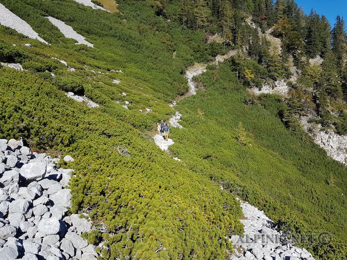 20180930_103644_lo_dxo