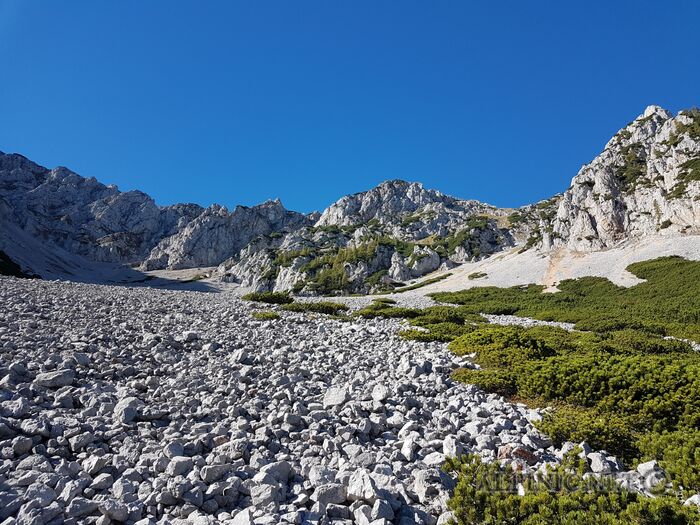 20180930_103648_lo_dxo