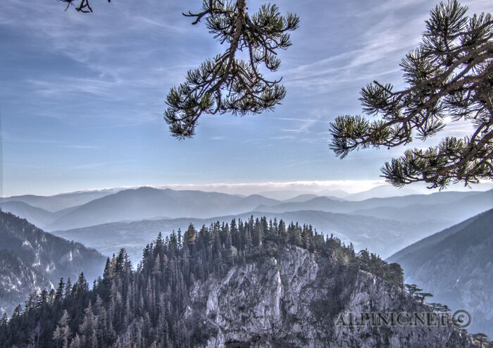 IMG_3464_lo_dxo
