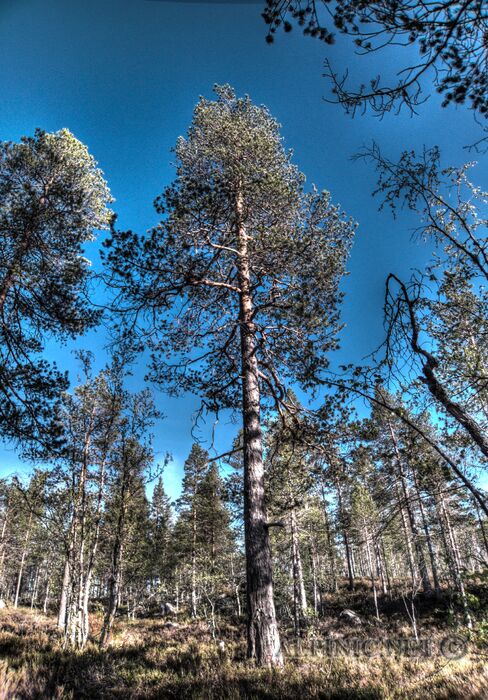 IMG_2132_3_4_Creative_lo_dxo