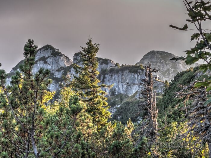 IMG_5541_2_3_Vibrant_lo_dxo