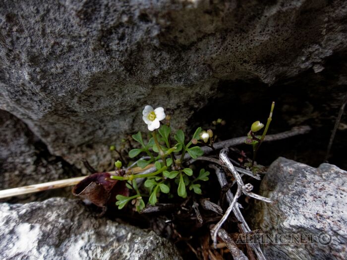 IMG_6763_DxO