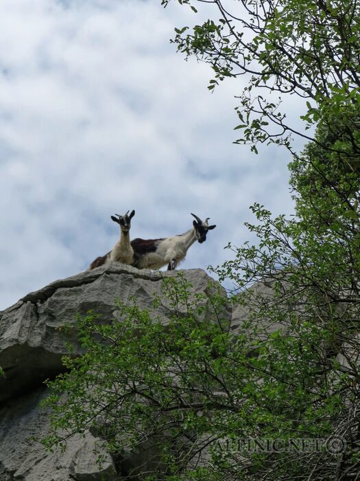 IMG_6828_DxO