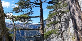 Neue Richterkante 6 / Stadlwand / Schneeberg
