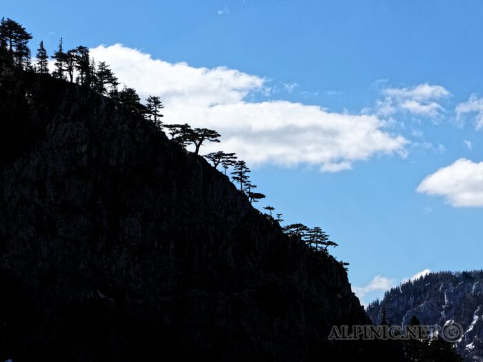 IMG_6667_DxO
