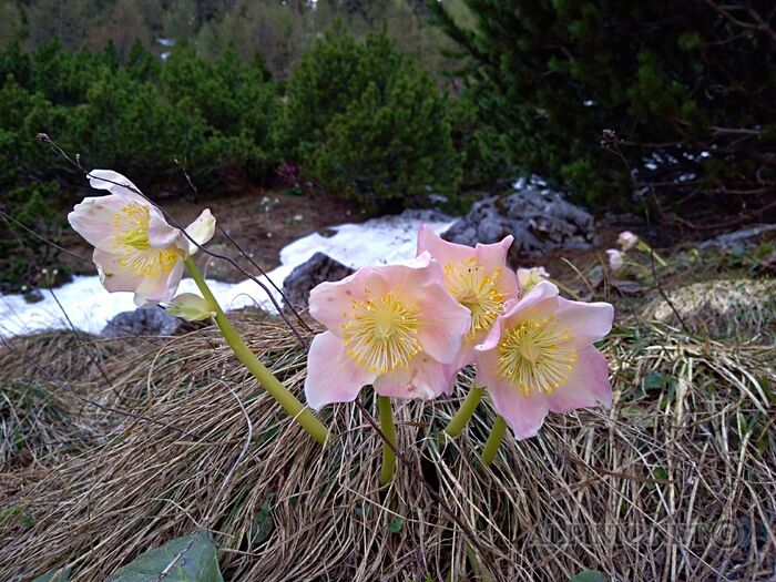 IMG_20180428_182927_lo_dxo