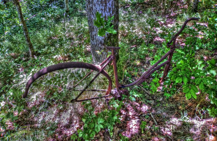 IMG_2461_Grunge_lo_dxo