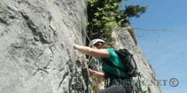 Beuteösterreicher 6+ / Hinterholz 5