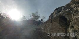 Beuteösterreicher 6+ / Hinterholz 5