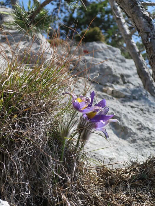 IMG_6570_DxO