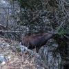 IMG_3813_lo_dxo