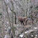 IMG_4225_lo_dxo