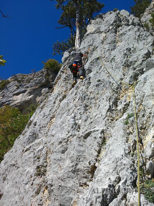 IMG_20200927_122547_DxO