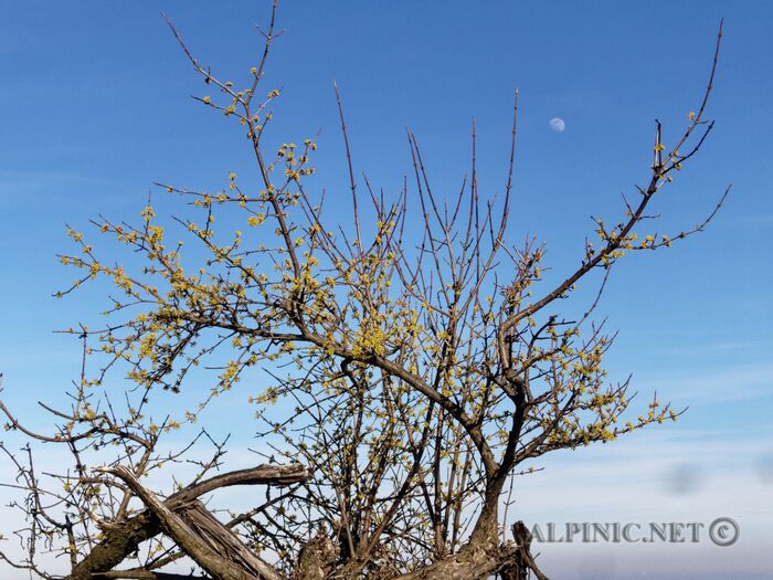 IMG_6550_DxO
