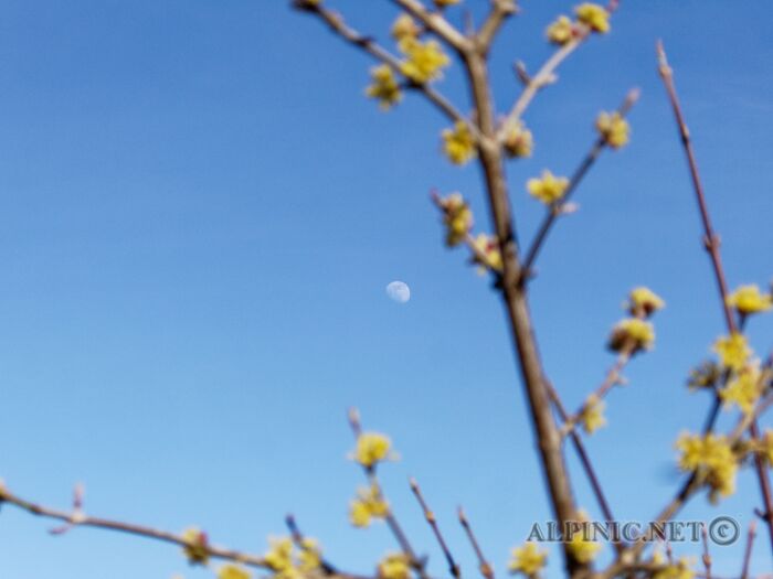 IMG_6552_DxO