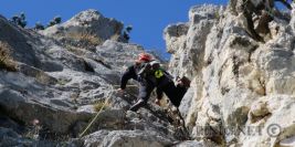 verlängerte Postlrippe 5+