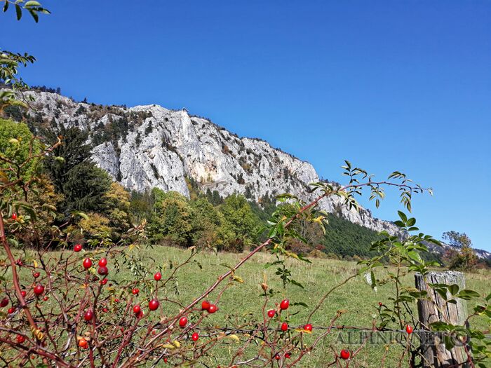 20181014_125435_lo_dxo