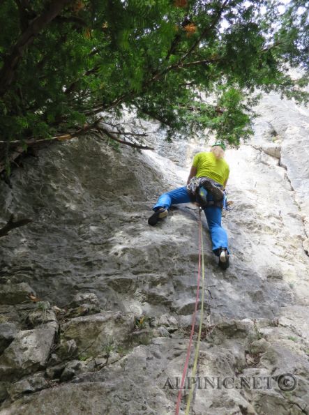Via Angelika 7 / IMG_3360_lo_dxo - Ausgeprochen schöne Neutour von Andi Baumgartner im Bereich des HTL Steigs, schlängelt sich steil und fast direkt die Wand hinauf wobei die Plattenkletterei überwiegt und bietet ausgesprochen tolle Kletterei. Wir hatten die Möglichkeit die Tour noch vor der Veröffentlichung zu Klettern und daher ist sie noch ein bisschen bröselig und erdig, dass wird sich aber sicher bald ändern. Da schon der Neue Innerkoflersteig zum Neoklassiker avanciert ist, gehe ich bei der Routenqualität und der gutmütigen Absicherung davon aus dass die Tour bald stark frequentiert wird. Einzig und alleine der Steinschlag durch Kletterer im Innerkoflersteig ist vielleicht eine bisschen eine haarige Angelegenheit.
