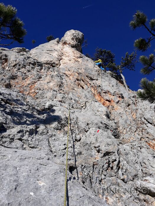 20200112_135344_aDxO