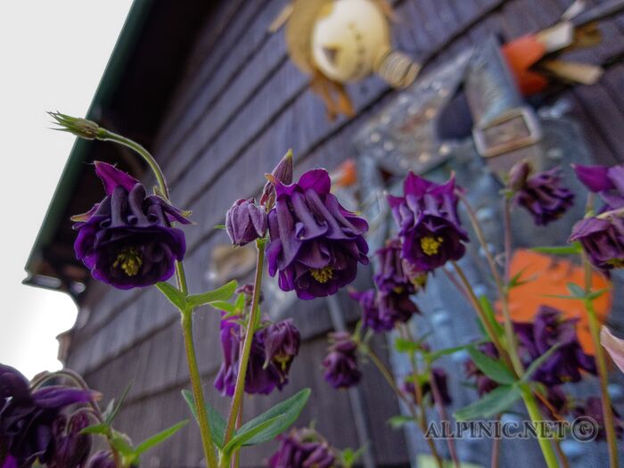 IMG_7192_DxO