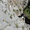 DSC07441