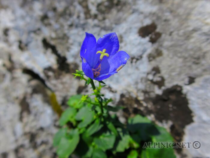 IMG_7303_DxO