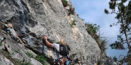 Neuer BG Steig 6-