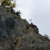 IMG_0995