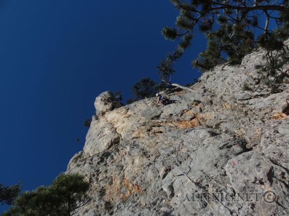 Zentennium 6- / DSC05729 - Route die links an der Nieberlwand hoch führt und sich dann mit dem Austieg des Tiwaz vereinigt. Nach einem Hatscher durch den Schrofenwald kommt man zur Frednase wo die Tour eigenständig noch weiter auf den Kanzelgrat führt. In Summe sehr schöne Tour aber hie und da noch recht brüchig und vor allem unteren Teil Steinschlag gefährdet ist ... (siehe auch Kombi Tiwaz / Zentennium)
