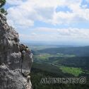 IMG_0530