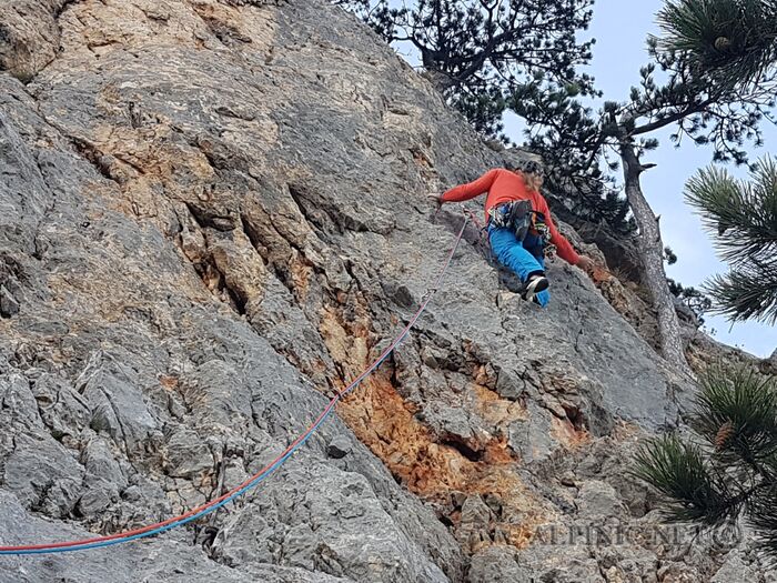 20181101_150132_lo_dxo