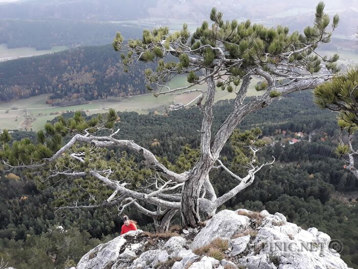 20181101_154553_lo_dxo