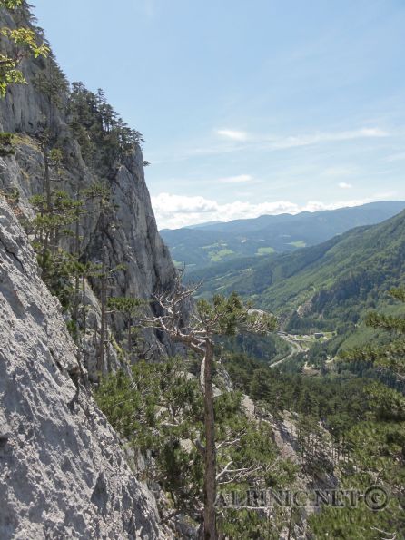 Joe Stickler Gedächtnissteig 6+ / Schneeberg 385m / DSC00692 - Ausgesprochen tolle Route am Großofen die meiner Meinung nach der Himmelsleiter und den Sonnenplatten massive Konkurrenz macht. Bis auf ein paar Schrofen und kleinere Verbindungsquerungen eine absolut abwechslungsreiche Kletterei auf unglaublich tollem Fels. Die Route ist sehr gut gesichert und die 1-2 Stellen die weiter gesetzt sind lassen sich hervorragend mit Friends sichern (wenn es den unbedingt notwendig ist). Die 7er Stelle der 11ten Seillänge läßt sich ausgesprochen schön rechts über "Rudis Letzte Sprosse" umgehen (wird auch notwendig sein wenn man nicht 50kg wiegt und 2m Groß ist, die 2m bring ich aber leider nicht die 50kg !!!) und das wird dann wohl so ein 6er sein.<br /><br />Literatur:<br /><br /><a title="Thomas Behm" href="http://www.thomasbehm.at/hoellenthal.htm" target="_blank">KLETTERFÜHRER  HÖLLENTHAL-RAX-SCHNEEBERG</a> oder die <a href="http://thomasbehm.at/schneeberg_topos.htm" target="_blank">Homepage</a> von Thomas Behm<br /><a title="Bergsteigen.at" href="http://www.bergsteigen.at/de/touren.aspx?ID=224" target="_blank">Bergsteigen.at</a>