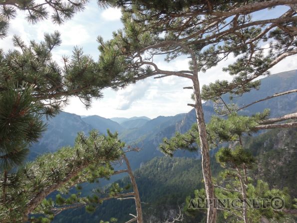 Joe Stickler Gedächtnissteig 6+ / Schneeberg 385m / DSC00751 - Ausgesprochen tolle Route am Großofen die meiner Meinung nach der Himmelsleiter und den Sonnenplatten massive Konkurrenz macht. Bis auf ein paar Schrofen und kleinere Verbindungsquerungen eine absolut abwechslungsreiche Kletterei auf unglaublich tollem Fels. Die Route ist sehr gut gesichert und die 1-2 Stellen die weiter gesetzt sind lassen sich hervorragend mit Friends sichern (wenn es den unbedingt notwendig ist). Die 7er Stelle der 11ten Seillänge läßt sich ausgesprochen schön rechts über "Rudis Letzte Sprosse" umgehen (wird auch notwendig sein wenn man nicht 50kg wiegt und 2m Groß ist, die 2m bring ich aber leider nicht die 50kg !!!) und das wird dann wohl so ein 6er sein.<br /><br />Literatur:<br /><br /><a title="Thomas Behm" href="http://www.thomasbehm.at/hoellenthal.htm" target="_blank">KLETTERFÜHRER  HÖLLENTHAL-RAX-SCHNEEBERG</a> oder die <a href="http://thomasbehm.at/schneeberg_topos.htm" target="_blank">Homepage</a> von Thomas Behm<br /><a title="Bergsteigen.at" href="http://www.bergsteigen.at/de/touren.aspx?ID=224" target="_blank">Bergsteigen.at</a>